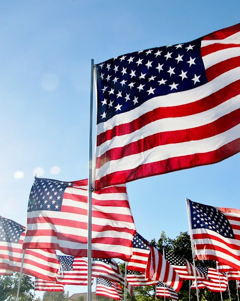 A group of American flags waving under a clear blue sky with the sun shining brightly in the corner of the image.