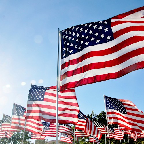 A group of American flags waving under a clear blue sky with the sun shining brightly in the corner of the image.