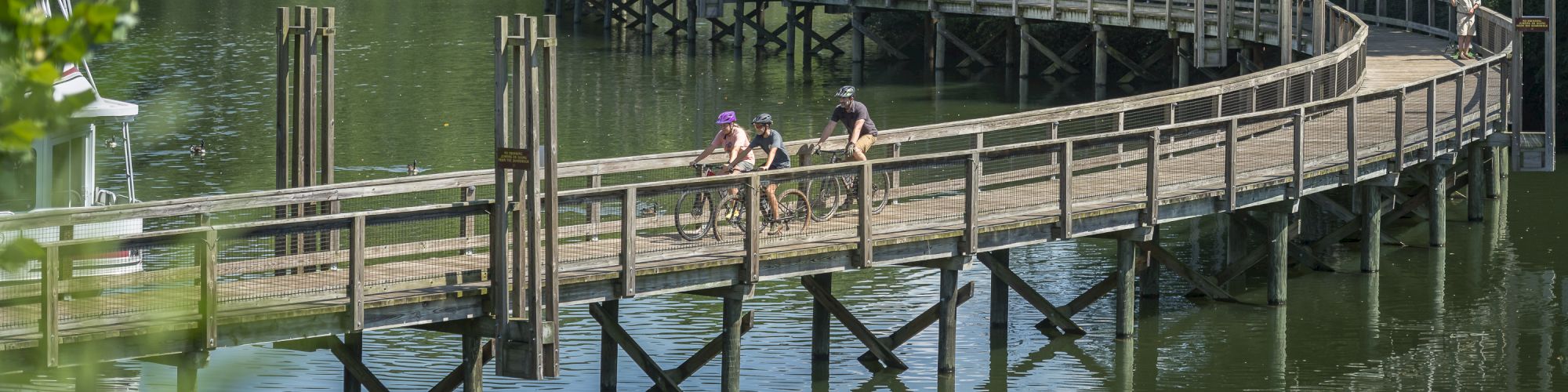 A serene lakeside scene with a winding wooden boardwalk over the water, surrounded by lush greenery, and a few people walking.