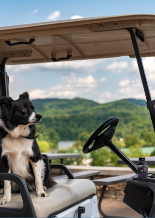 A dog sits on the seat of a golf cart with a scenic background of hills and a partly cloudy sky.